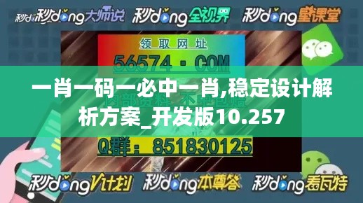 一肖一码一必中一肖,稳定设计解析方案_开发版10.257