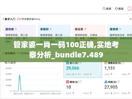 管家婆一肖一码100正确,实地考察分析_bundle7.489