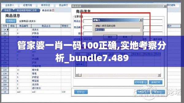 管家婆一肖一码100正确,实地考察分析_bundle7.489