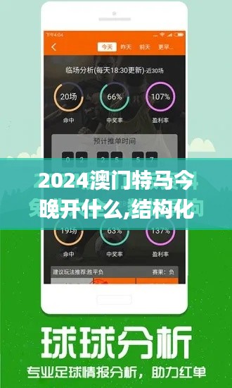 2024澳门特马今晚开什么,结构化评估推进_L版4.649