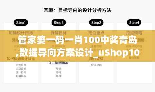 管家婆一码一肖100中奖青岛,数据导向方案设计_uShop10.208
