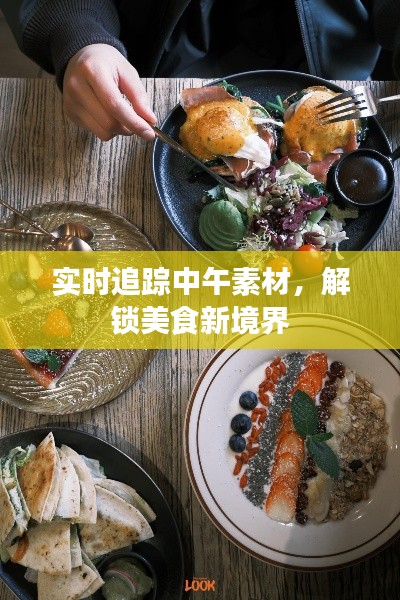 实时追踪中午素材,解锁美食新境界