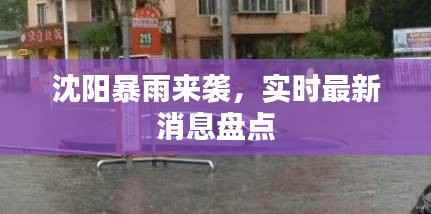 沈阳暴雨来袭,实时最新消息盘点