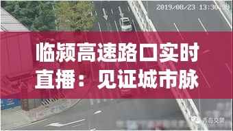 临颍高速路口实时直播：见证城市脉搏的跳动