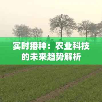 实时播种：农业科技的未来趋势解析