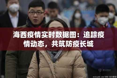 海西疫情实时数据图：追踪疫情动态，共筑防疫长城