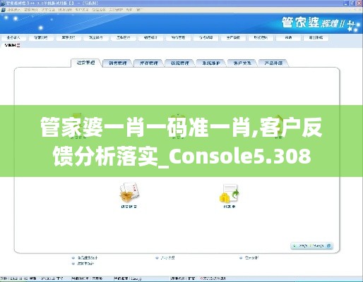 管家婆一肖一码准一肖,客户反馈分析落实_Console5.308
