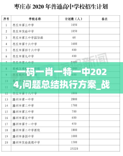 一码一肖一特一中2024,问题总结执行方案_战斗版2.610