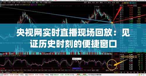 央视网实时直播现场回放:见证历史时刻的便捷窗口