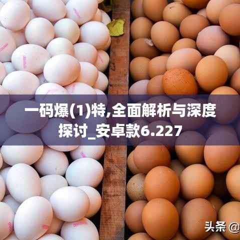 一码爆(1)特,全面解析与深度探讨_安卓款6.227