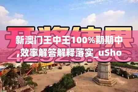 新澳门王中王100%期期中,效率解答解释落实_uShop6.736