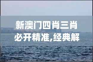 新澳门四肖三肖必开精准,经典解释落实_suite8.462