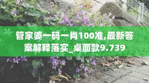 管家婆一码一肖100准,最新答案解释落实_桌面款9.739