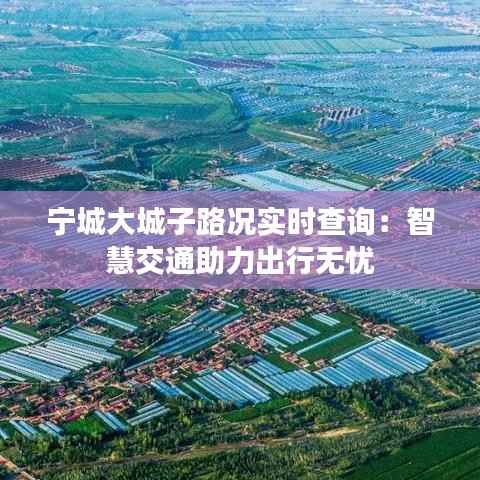 宁城大城子路况实时查询：智慧交通助力出行无忧