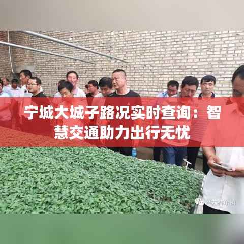 宁城大城子路况实时查询:智慧交通助力出行无忧