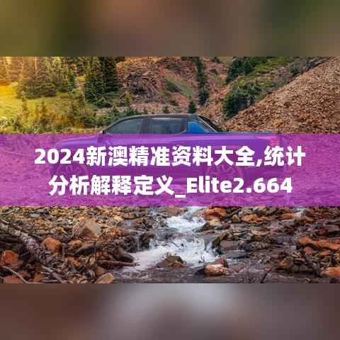 2024新澳精准资料大全,统计分析解释定义_Elite2.664