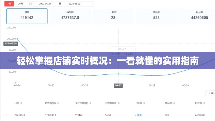 轻松掌握店铺实时概况：一看就懂的实用指南