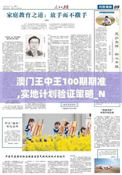 澳门王中王100期期准,实地计划验证策略_NE版8.775