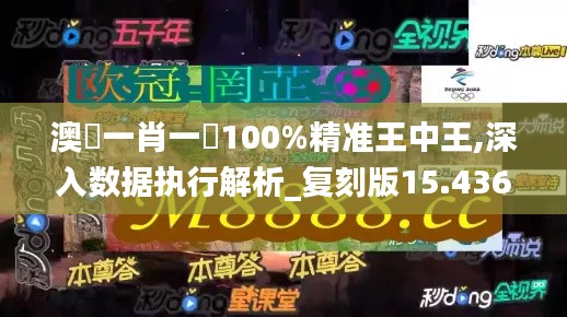 澳門一肖一碼100%精准王中王,深入数据执行解析_复刻版15.436