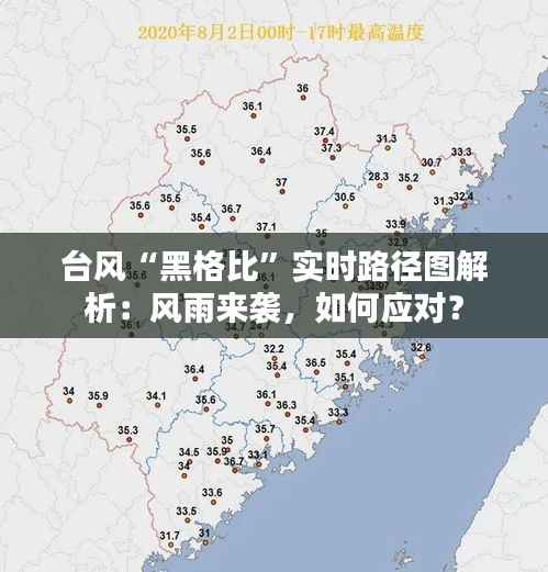 文贵天成 第5页