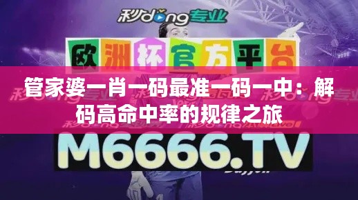 管家婆一肖一码最准一码一中：解码高命中率的规律之旅
