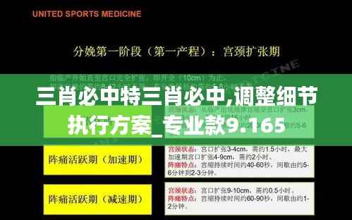 三肖必中特三肖必中,调整细节执行方案_专业款9.165
