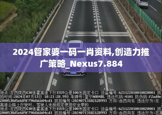 2024管家婆一码一肖资料,创造力推广策略_Nexus7.884