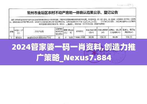 2024管家婆一码一肖资料,创造力推广策略_Nexus7.884