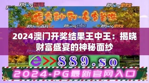 2024澳门开奖结果王中王:揭晓财富盛宴的神秘面纱