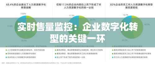 实时售量监控:企业数字化转型的关键一环
