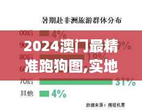 2024澳门最精准跑狗图,实地验证数据策略_Pixel16.855