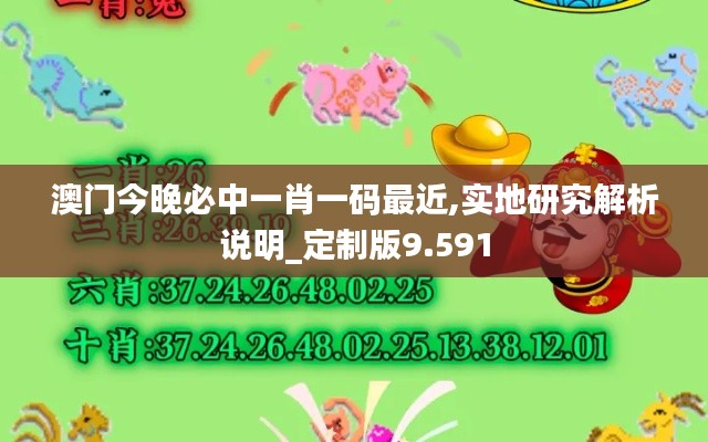 澳门今晚必中一肖一码最近,实地研究解析说明_定制版9.591