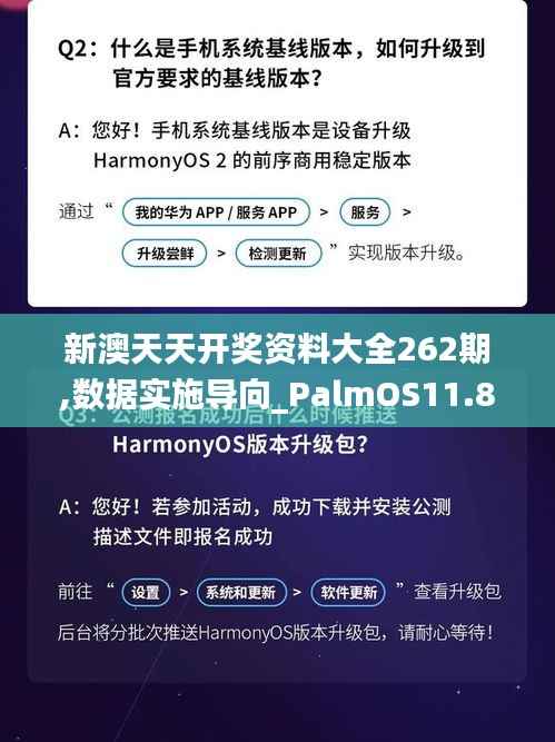 新澳天天开奖资料大全262期,数据实施导向_PalmOS11.805