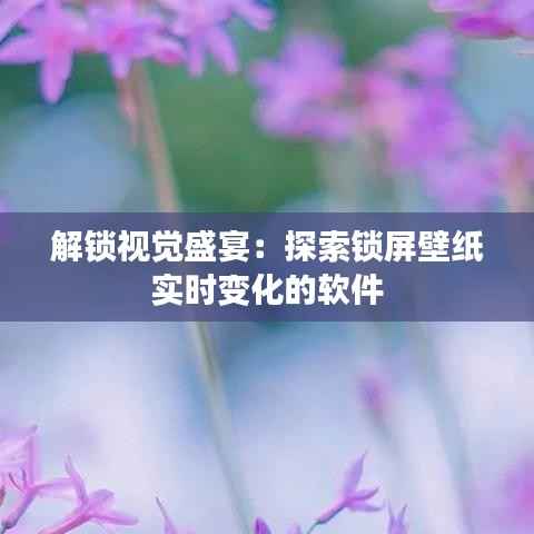 解锁视觉盛宴:探索锁屏壁纸实时变化的软件
