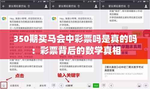 350期买马会中彩票吗是真的吗：彩票背后的数学真相