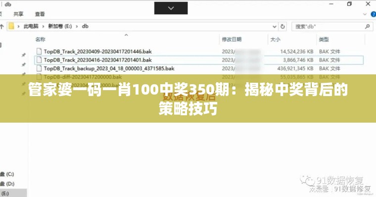 管家婆一码一肖100中奖350期：揭秘中奖背后的策略技巧