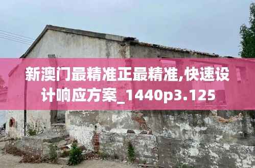 新澳门最精准正最精准,快速设计响应方案_1440p3.125