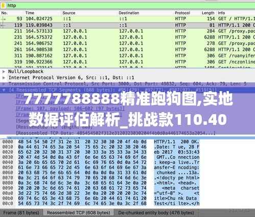 7777788888精准跑狗图,实地数据评估解析_挑战款110.400