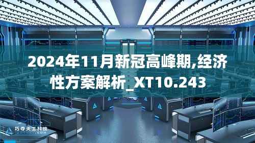 2024年11月新冠高峰期,经济性方案解析_XT10.243