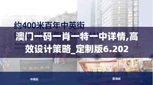 澳门一码一肖一特一中详情,高效设计策略_定制版6.202
