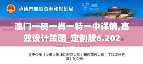 澳门一码一肖一特一中详情,高效设计策略_定制版6.202