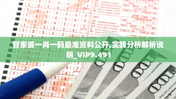 管家婆一肖一码最准资料公开,实践分析解析说明_VIP9.491