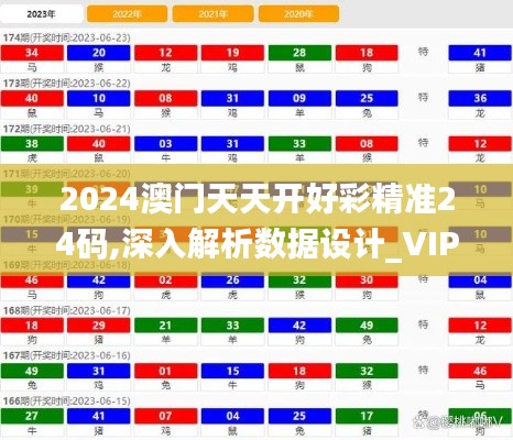 2024澳门天天开好彩精准24码,深入解析数据设计_VIP10.821