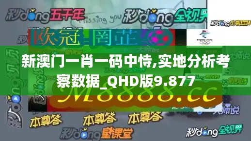 新澳门一肖一码中恃,实地分析考察数据_QHD版9.877