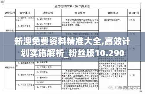 新澳免费资料精准大全,高效计划实施解析_粉丝版10.290