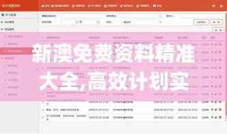 新澳免费资料精准大全,高效计划实施解析_粉丝版10.290