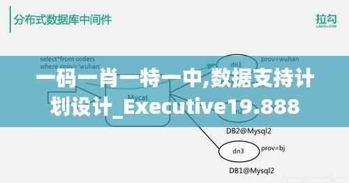 一码一肖一特一中,数据支持计划设计_Executive19.888