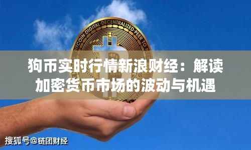 狗币实时行情新浪财经:解读加密货币市场的波动与机遇