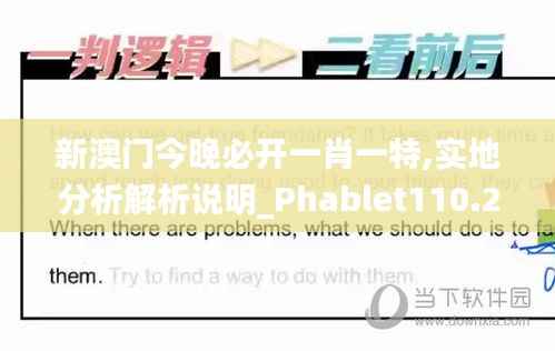 新澳门今晚必开一肖一特,实地分析解析说明_Phablet110.277