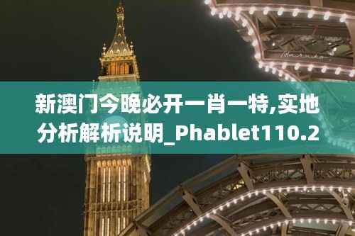 新澳门今晚必开一肖一特,实地分析解析说明_Phablet110.277